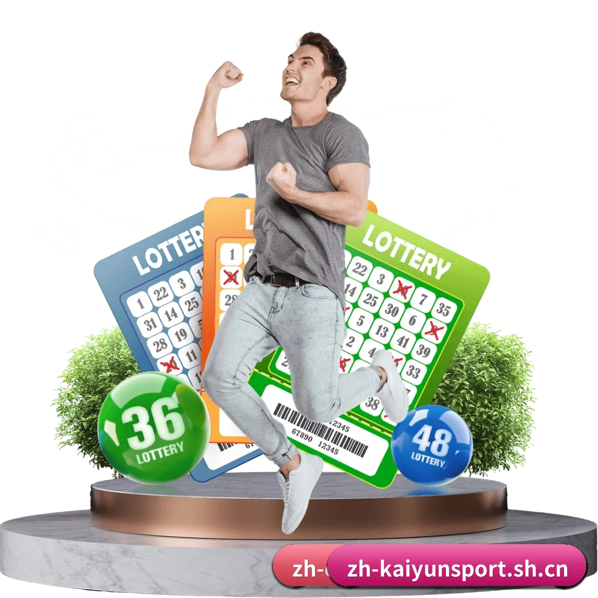 开云体育 APP 界面